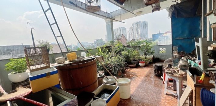 BÁN BIỆT THỰ SÂN VƯỜN ĐƯỜNG 23, HBC – TẶNG FULL NỘI THẤT