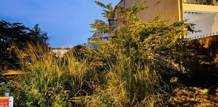 BÁN ĐẤT ĐƯỜNG SỐ 9, BÌNH CHIỂU, THỦ ĐỨC – NGAY CHỢ ĐẦU MỐI