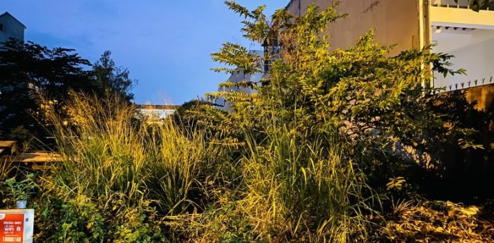 BÁN ĐẤT ĐƯỜNG SỐ 9, BÌNH CHIỂU, THỦ ĐỨC – NGAY CHỢ ĐẦU MỐI