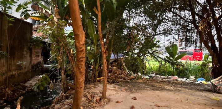 BÁN ĐẤT DIỆN TÍCH LỚN PHƯỜNG TAM PHÚ, THỦ ĐỨC – 44,8 TỶ
