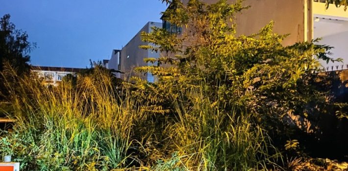 BÁN ĐẤT ĐƯỜNG SỐ 9, BÌNH CHIỂU, THỦ ĐỨC – NGAY CHỢ ĐẦU MỐI