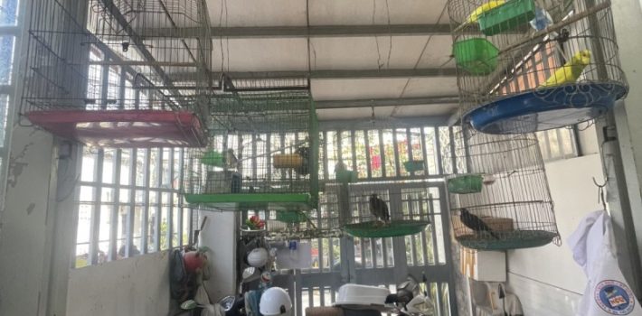 BÁN NHÀ GÓC 2 MẶT TIỀN ĐƯỜNG SỐ 4, HIỆP BÌNH CHÁNH, THỦ ĐỨC