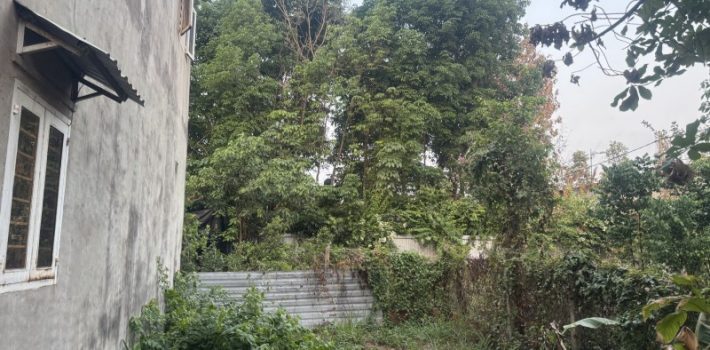 BÁN ĐẤT ĐƯỜNG 7, LINH TÂY, THỦ ĐỨC – DIỆN TÍCH LỚN – GẦN PHẠM VĂN ĐỒNG