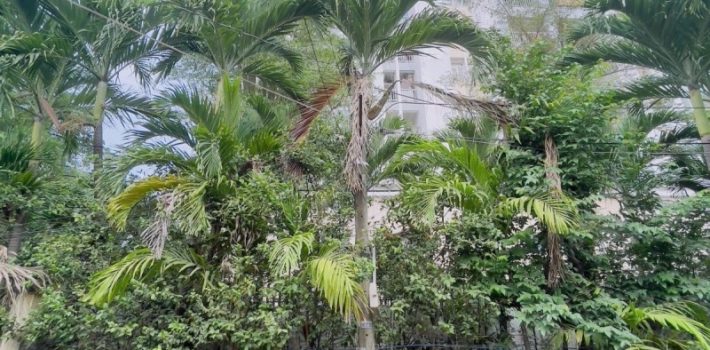 BÁN NHÀ ĐƯỜNG SỐ 4, TRƯỜNG THỌ, THỦ ĐỨC