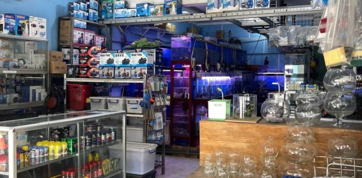 BÁN NHÀ MẶT TIỀN ĐƯỜNG ĐẶNG VĂN BI, BÌNH THỌ, THỦ ĐỨC – KINH DOANH, DÒNG TIỀN 50TR/THÁNG