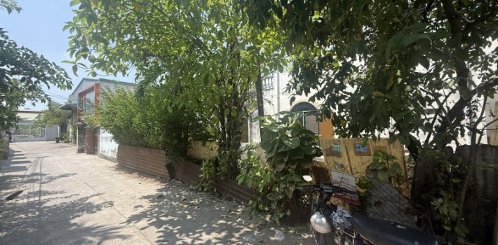 BÁN ĐẤT HXH ĐƯỜNG SỐ 2, TRƯỜNG THỌ, THỦ ĐỨC – ĐẤT PHÂN LÔ