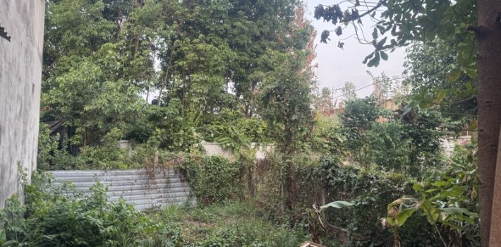 BÁN ĐẤT ĐƯỜNG 7, LINH TÂY, THỦ ĐỨC – DIỆN TÍCH LỚN – GẦN PHẠM VĂN ĐỒNG