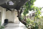 BÁN NHÀ GẦN KHA VẠN CÂN, LINH TÂY, THỦ ĐỨC – NGANG 16M HIẾM